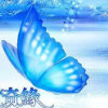 飄綾