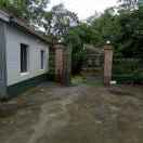 LR239388394