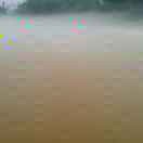 LR239684022