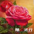 懒人254282454