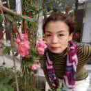 苹儿