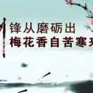 蓝桥枫月