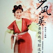 麥地裏的守朢者十五星旗