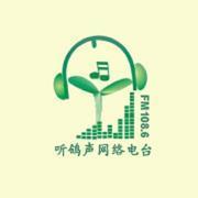 听鸽声