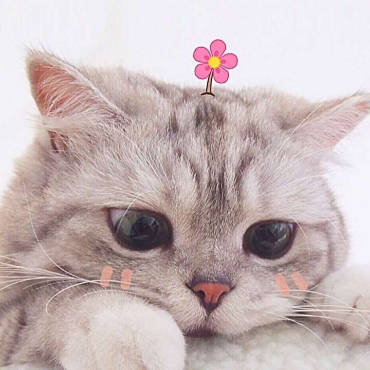 荒臣