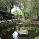 懒人620872731