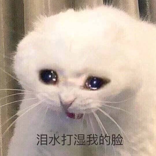 绒芷