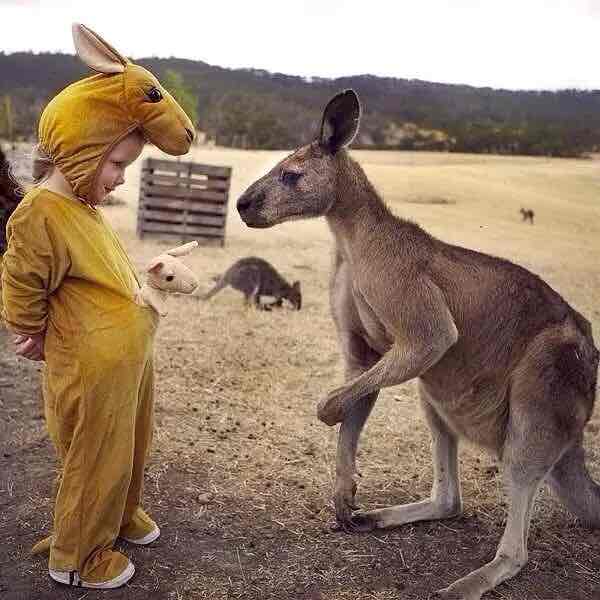 🐇🐇.