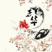 卿本芳华