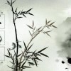 陌路、独侠