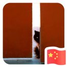 看到文字就头痛