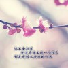 懒人658339378