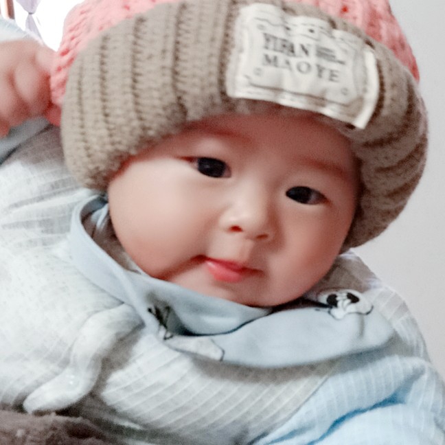 丁麦兜