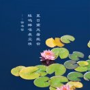 懒人661588526