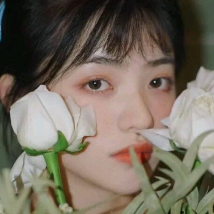 绿小格子
