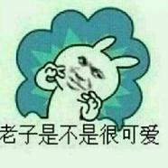 探月