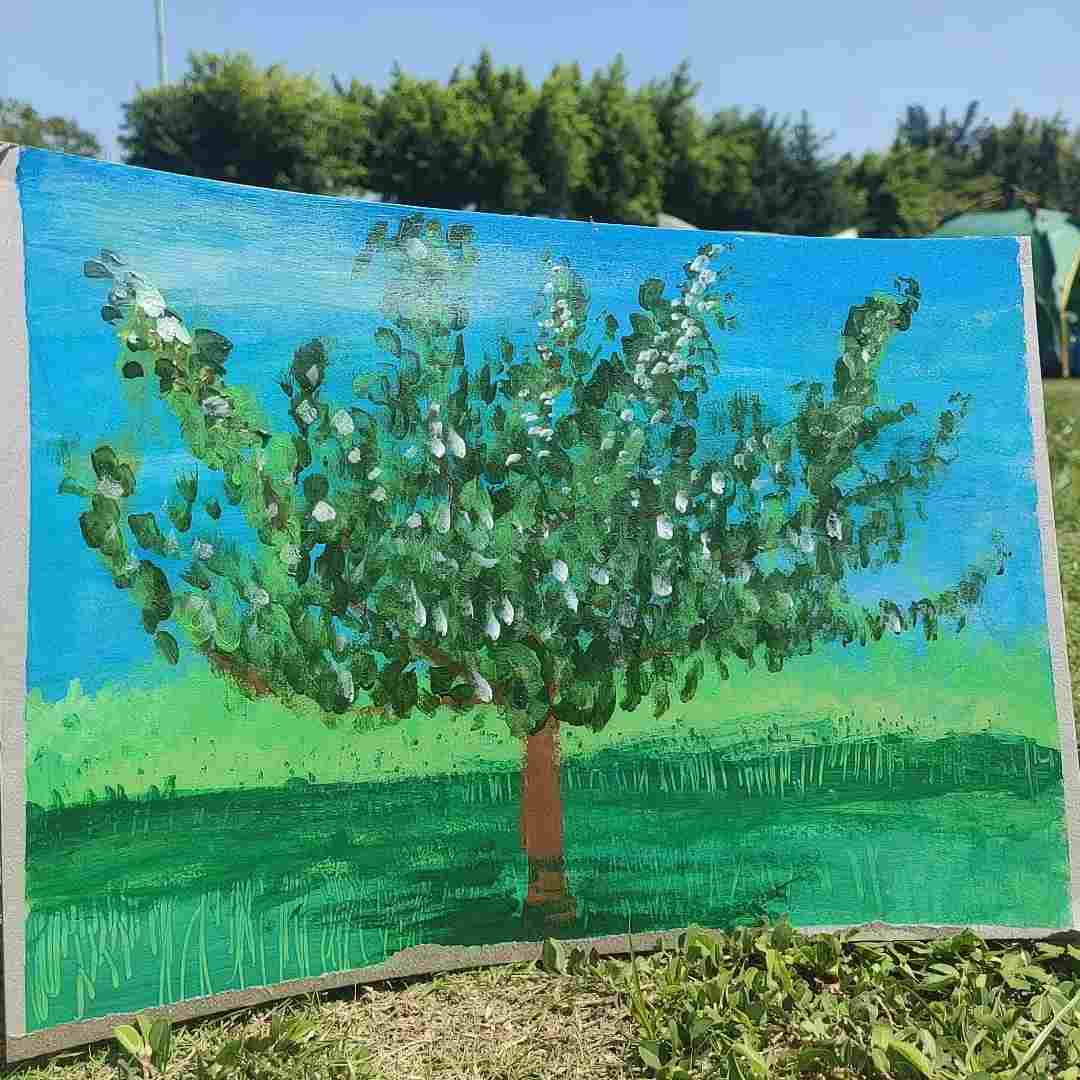 苏紫月_次元口袋