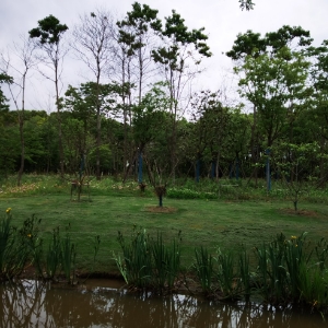YY扬眉吐气