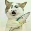 懒人673663920