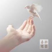 桑梓电波
