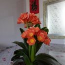 王保丰