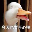 ya宝姐姐