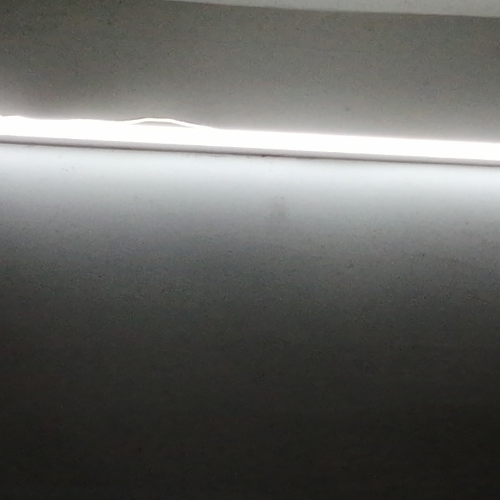 程卓妍喜欢米多兔