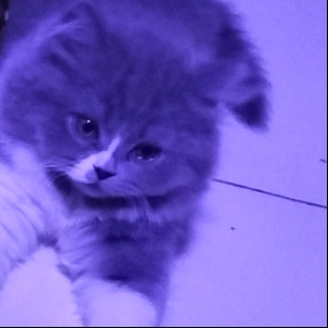 懒人624915359