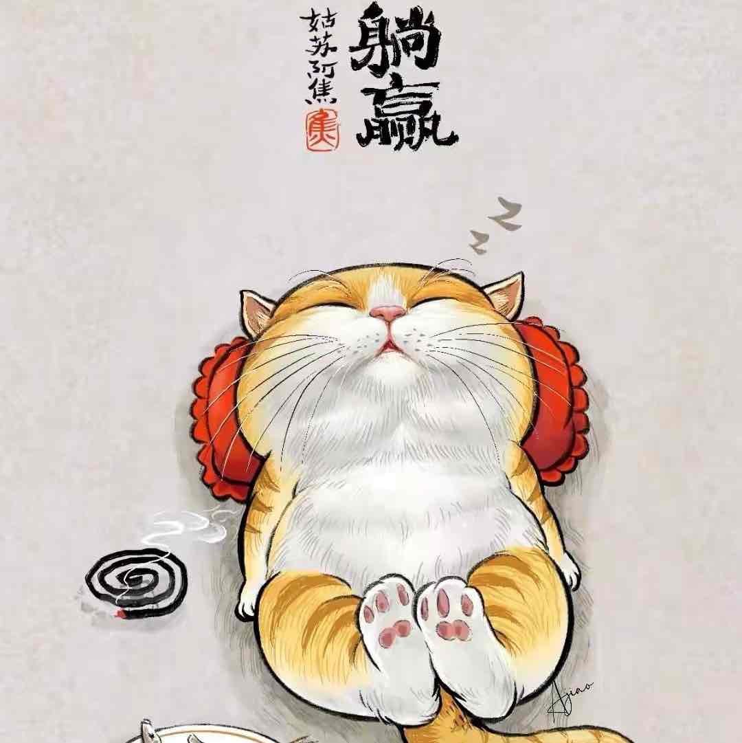 叮叮猫ST