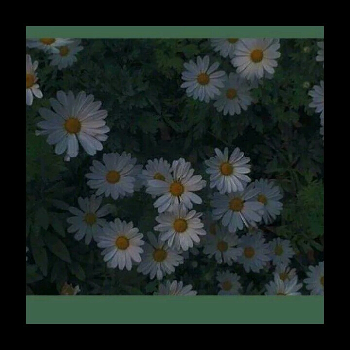 懒人685817116