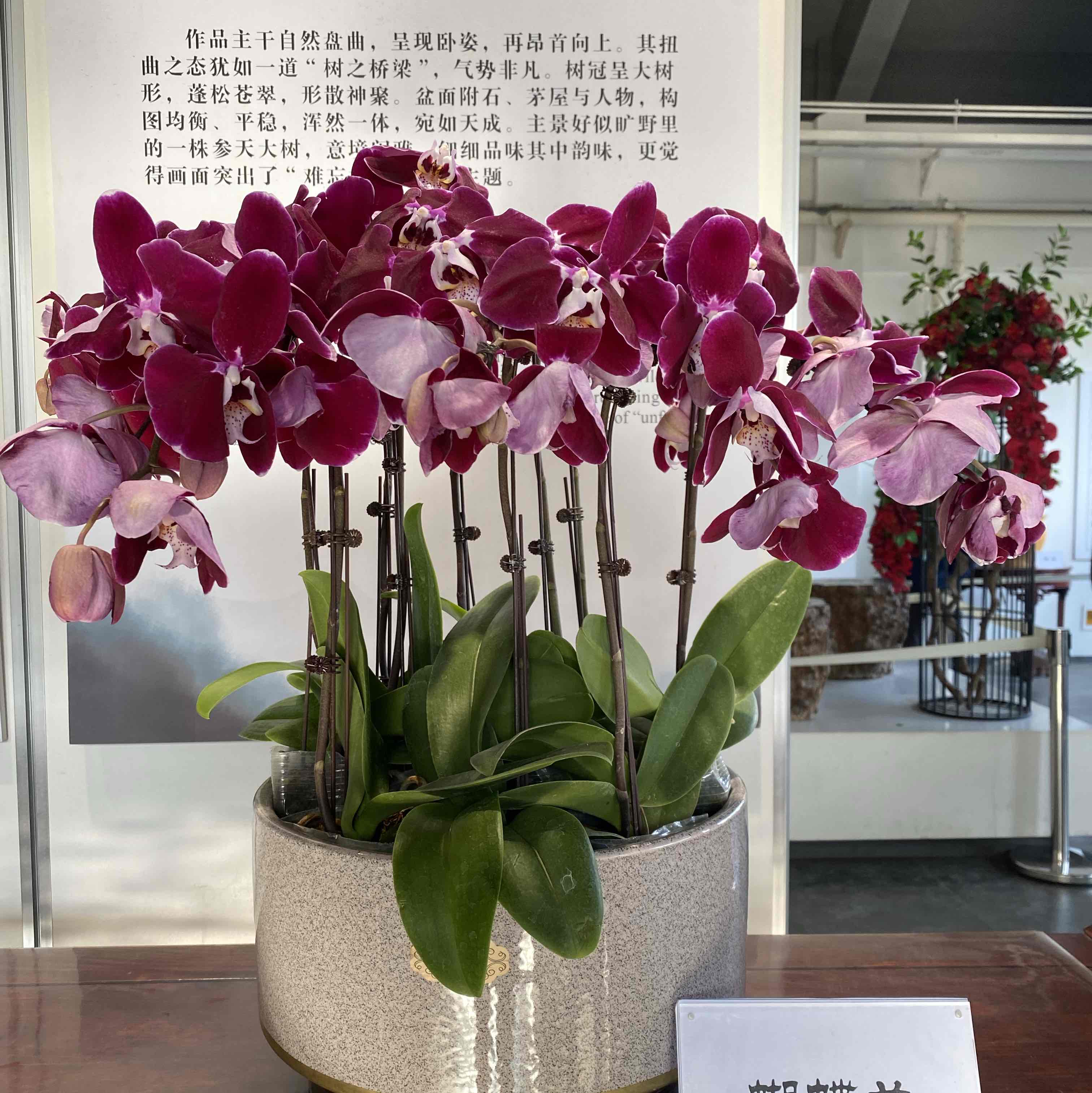 然后💎