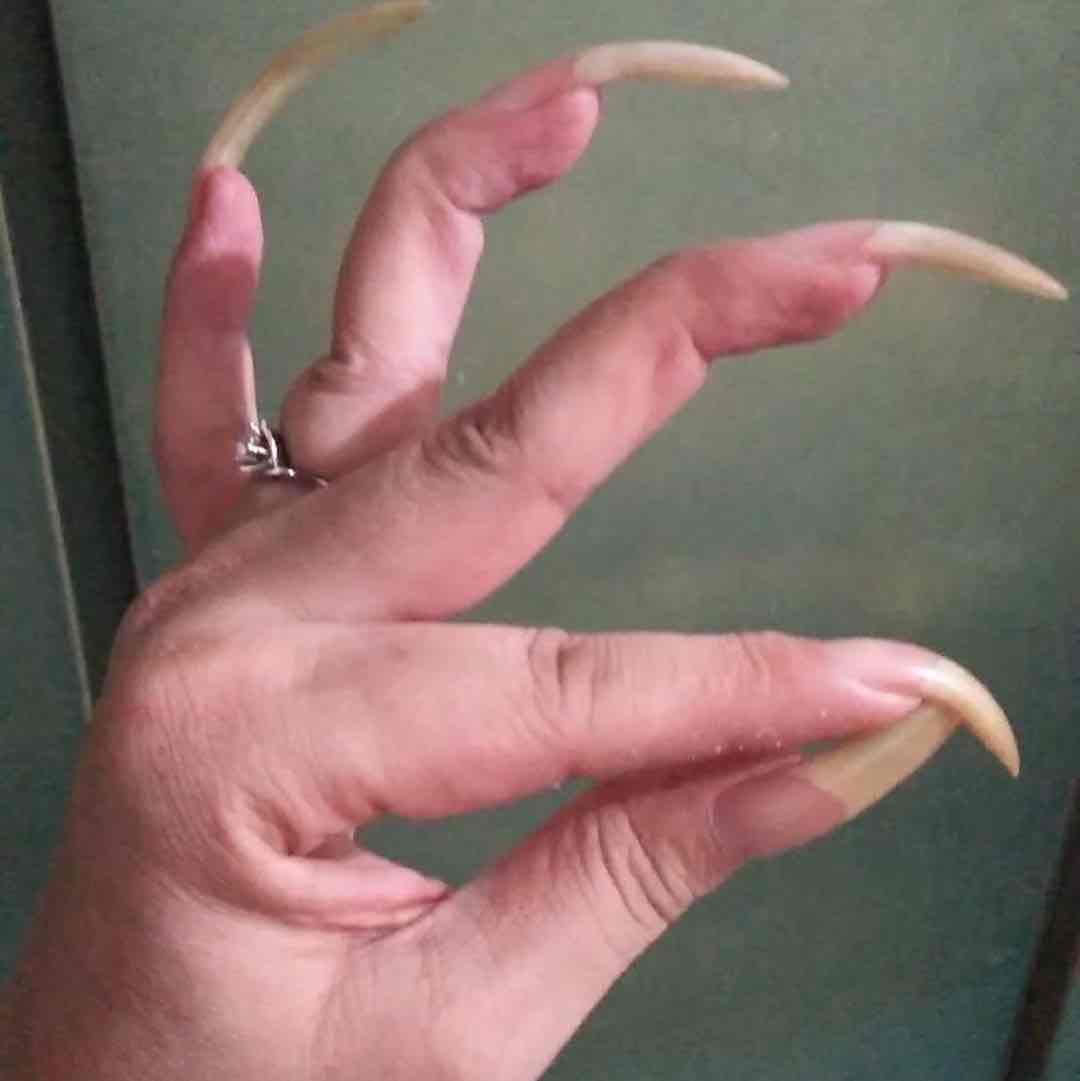 我鄧凌君