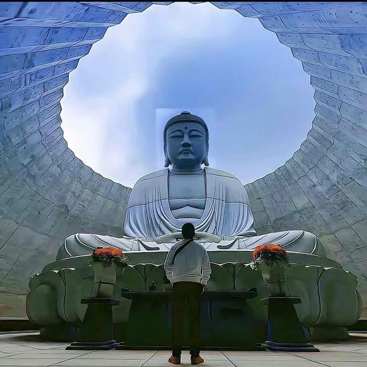 a你好陌生人o