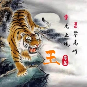 懒人664637075