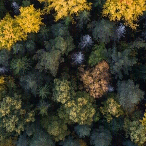 空中瞟渺