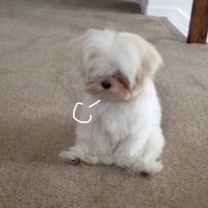 懒人685894715