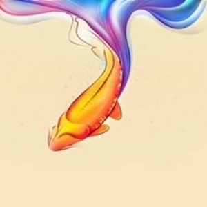 主播飞鱼
