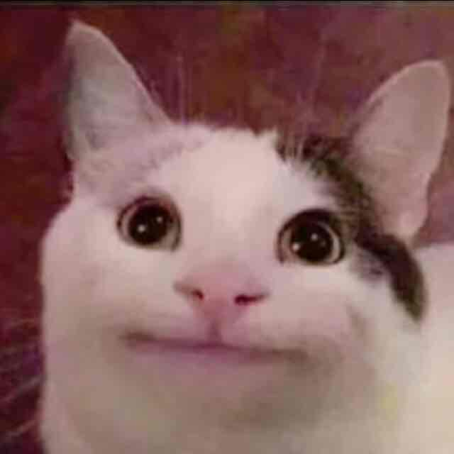 hua猫