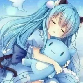 付蕊境