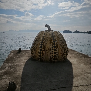 懒人710590849