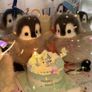 企鹅哈哈逗