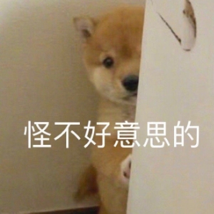爽朗鹦鹉鱼