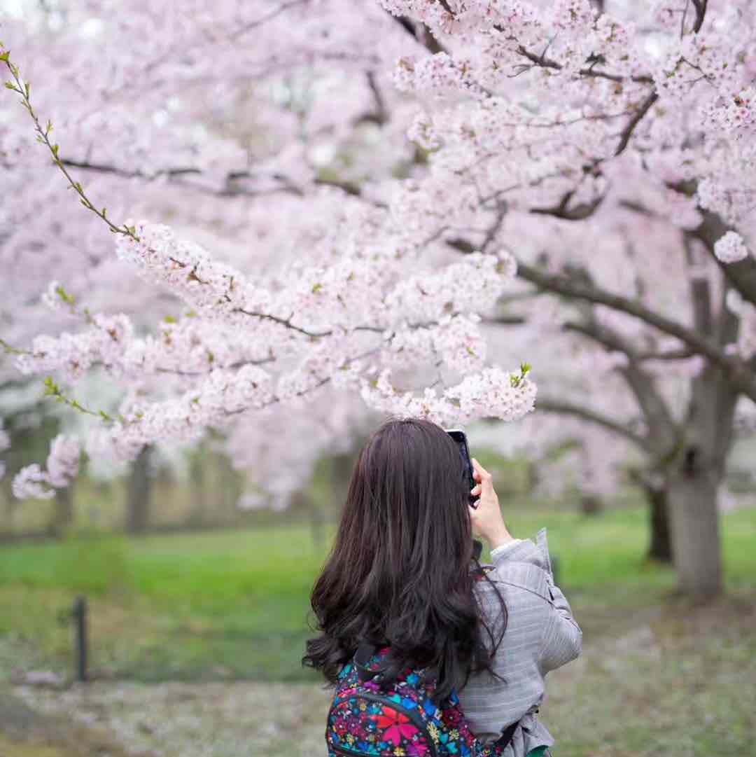 洛炘