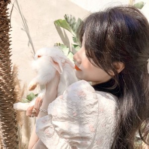 June小猫