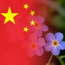 無悔于心