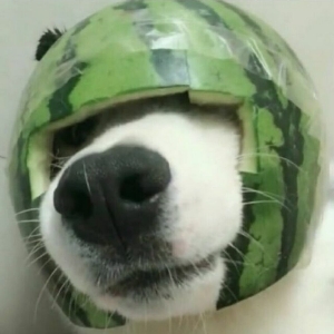疯狂的精神病院长-