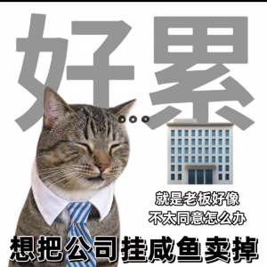 小尹2650嘻哈哈哈哈哈