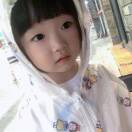 何文文