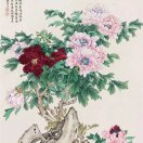 娇韵馹