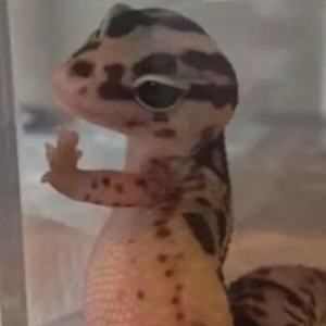 懒人749018671